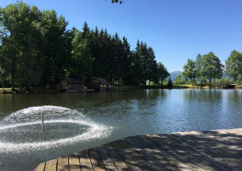 IMG_1585-480x340