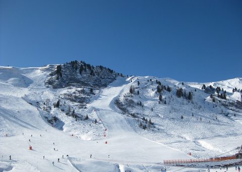 alps-2099982_960_720-480x340