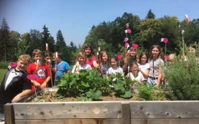 Achtung! Freilaufende Flamingos und Störche