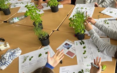 Kräuter-Workshop in “Ökologie”