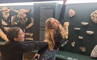 Dritte Klassen reisen durch die Erdgeschichte