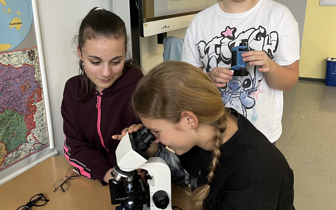 Mikroskopieren im Schwerpunkt “Biologie vertiefend”