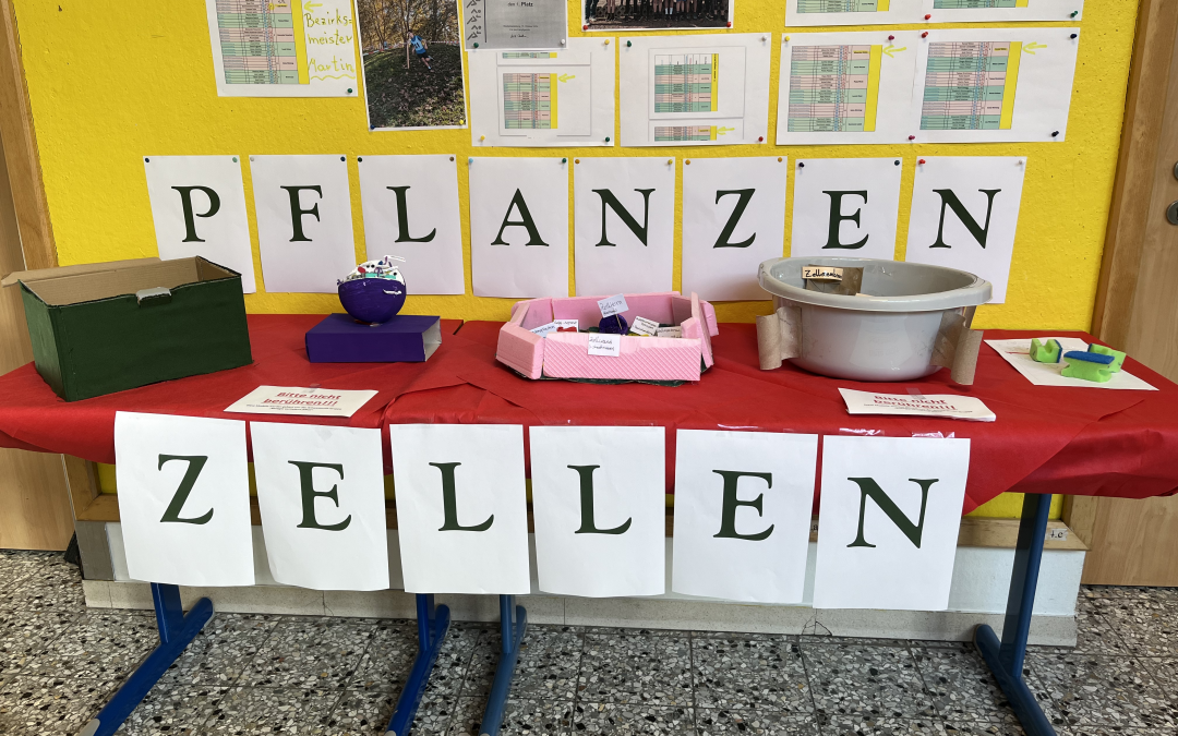 Modellbau im Schwerpunkt “Biologie vertiefend”