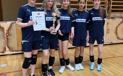 Volleyball: Wir sind Bezirksmeister!