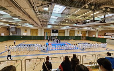 Medaillenregen für Karate-Kids der MS St. Stefan